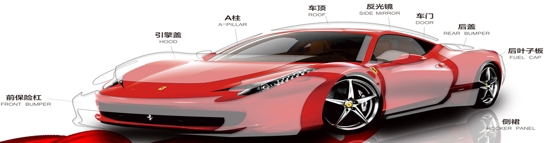 LBϬţƤȫ�����汣��Ĥ